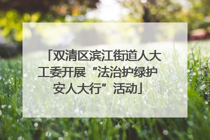 双清区滨江街道人大工委开展“法治护绿护安人大行”活动