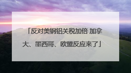 反对美钢铝关税加倍 加拿大、墨西哥、欧盟反应来了
