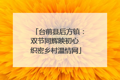 台前县后方镇：双节同辉映初心 织密乡村温情网
