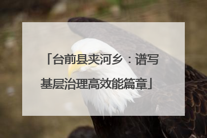 台前县夹河乡：谱写基层治理高效能篇章