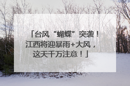 台风“蝴蝶”突袭！江西将迎暴雨+大风，这天千万注意！