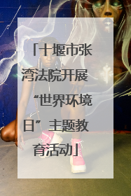十堰市张湾法院开展“世界环境日”主题教育活动
