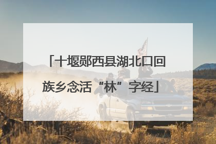 十堰郧西县湖北口回族乡念活“林”字经