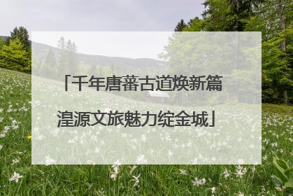 千年唐蕃古道焕新篇 湟源文旅魅力绽金城