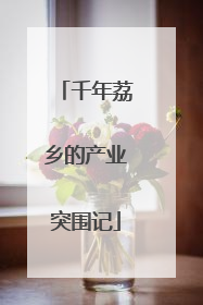 千年荔乡的产业突围记