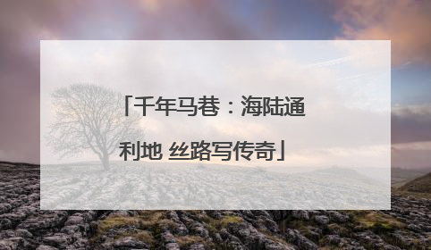 千年马巷：海陆通利地 丝路写传奇