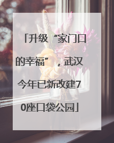 升级“家门口的幸福”，武汉今年已新改建70座口袋公园