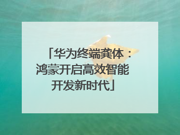 华为终端龚体：鸿蒙开启高效智能开发新时代
