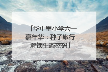 华中里小学六一嘉年华:种子旅行解锁生态密码