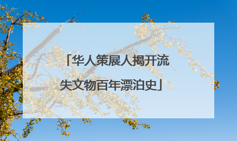 华人策展人揭开流失文物百年漂泊史