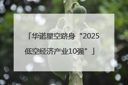 华诺星空跻身“2025低空经济产业10强”