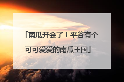 南瓜开会了！平谷有个可可爱爱的南瓜王国