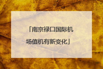 南京禄口国际机场值机有新变化