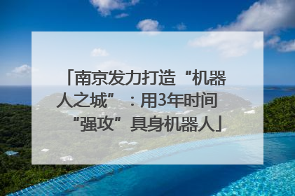 南京发力打造“机器人之城”：用3年时间“强攻”具身机器人