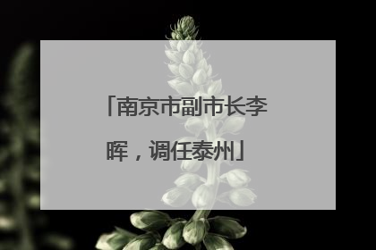 南京市副市长李晖，调任泰州