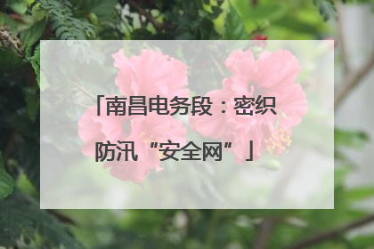 南昌电务段：密织防汛“安全网”