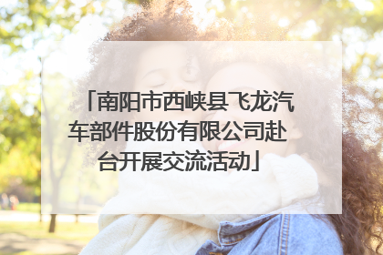 南阳市西峡县飞龙汽车部件股份有限公司赴台开展交流活动