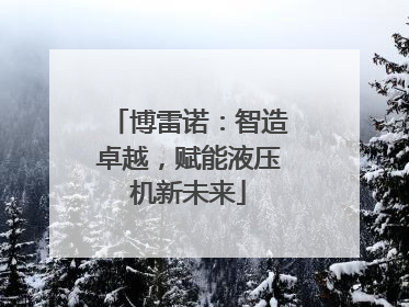 博雷诺：智造卓越，赋能液压机新未来