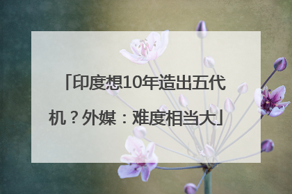 印度想10年造出五代机？外媒：难度相当大