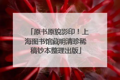 原书原貌影印！上海图书馆藏明清珍稀稿钞本整理出版