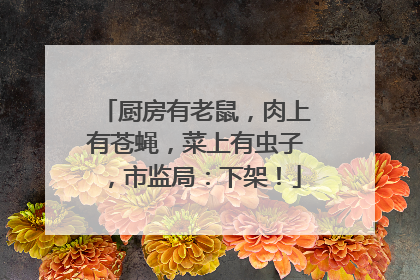 厨房有老鼠，肉上有苍蝇，菜上有虫子，市监局：下架！