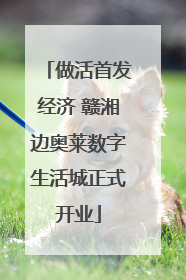 做活首发经济 赣湘边奥莱数字生活城正式开业
