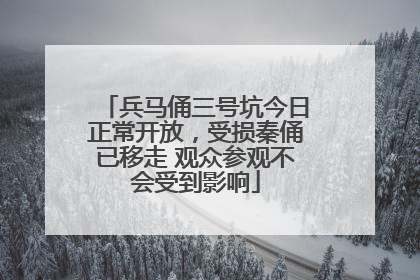 兵马俑三号坑今日正常开放，受损秦俑已移走 观众参观不会受到影响