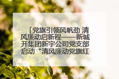 党旗引领风帆劲 清风廉动启新程——新城开集团新宇公司党支部启动“清风廉动党旗红”系列活动