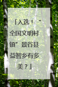 入选！“全国文明村镇”景谷县益智乡有多美？