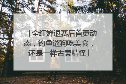 全红婵退赛后首更动态，钓鱼遛狗吃美食，还是一样古灵精怪