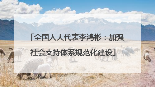 全国人大代表李鸿彬：加强社会支持体系规范化建设