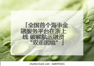 全国首个海事金融服务平台在浙上线 破解航运融资“双重困境”