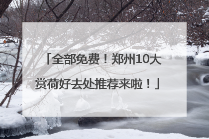 全部免费！郑州10大赏荷好去处推荐来啦！