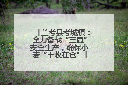 兰考县考城镇：全力备战“三夏”安全生产，确保小麦“丰收在仓”