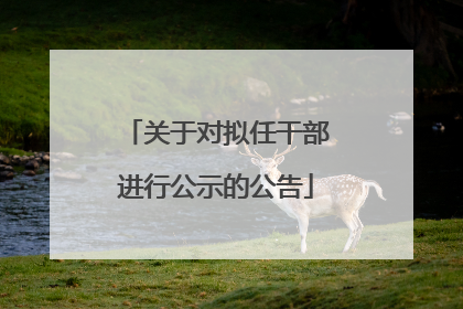 关于对拟任干部进行公示的公告