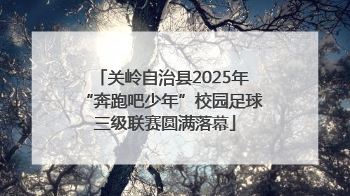 关岭自治县2025年“奔跑吧少年”校园足球三级联赛圆满落幕