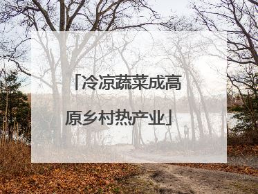 冷凉蔬菜成高原乡村热产业