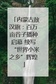 内蒙古敖汉旗：百万亩谷子播种启幕 续写“世界小米之乡”辉煌