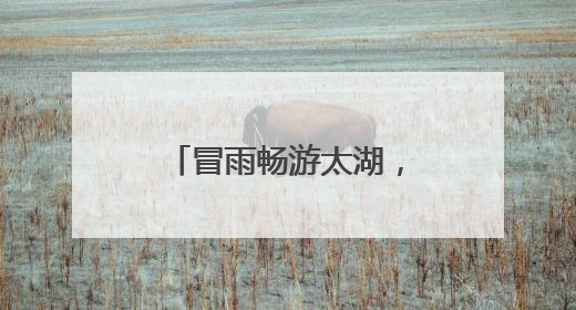 冒雨畅游太湖，2025年第四届长三角公开水域游泳锦标赛落幕