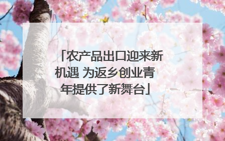 农产品出口迎来新机遇 为返乡创业青年提供了新舞台