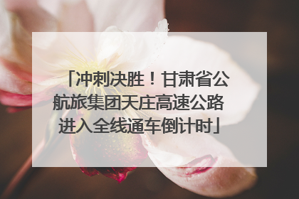 冲刺决胜！甘肃省公航旅集团天庄高速公路进入全线通车倒计时