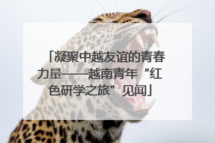 凝聚中越友谊的青春力量——越南青年“红色研学之旅”见闻