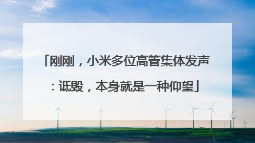 刚刚，小米多位高管集体发声：诋毁，本身就是一种仰望
