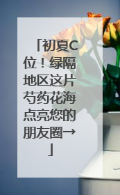 初夏C位！绿隔地区这片芍药花海点亮您的朋友圈→