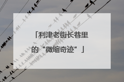 利津老街长巷里的“微缩奇迹”