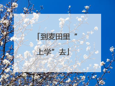 到麦田里“上学”去