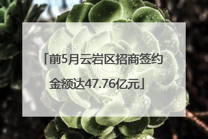 前5月云岩区招商签约金额达47.76亿元