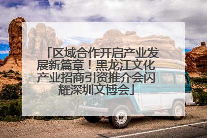 区域合作开启产业发展新篇章！黑龙江文化产业招商引资推介会闪耀深圳文博会