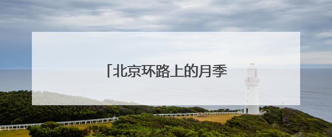 北京环路上的月季到底是谁在种？