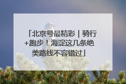 北京号最精彩｜骑行+跑步！海淀这几条绝美路线不容错过